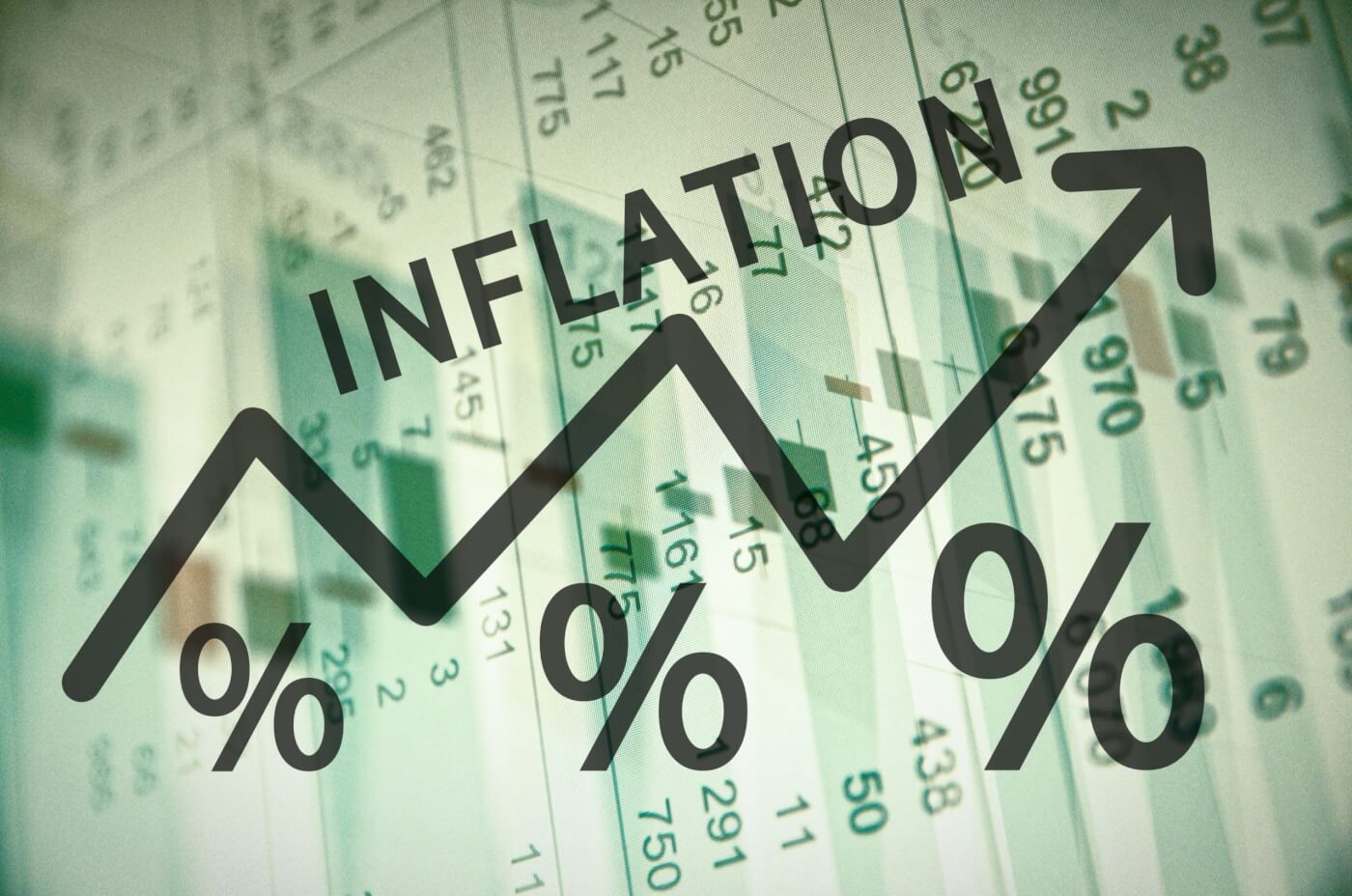 TIPS Treasury Inflation Protected Securities Primer NISA